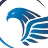 bluefalcon99